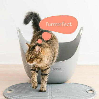 Litter Genie Litterbox, Comfortable for your cat, easy clean up for you